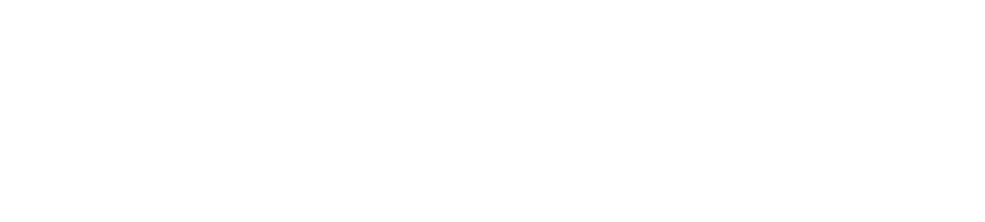 Logo ZENKI